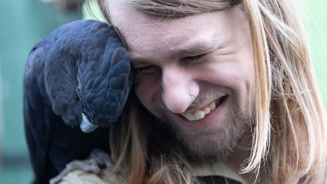 Client James shares a special moment with black cockatoo Roman