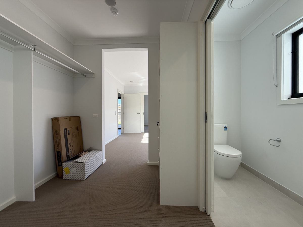 IMG 4571