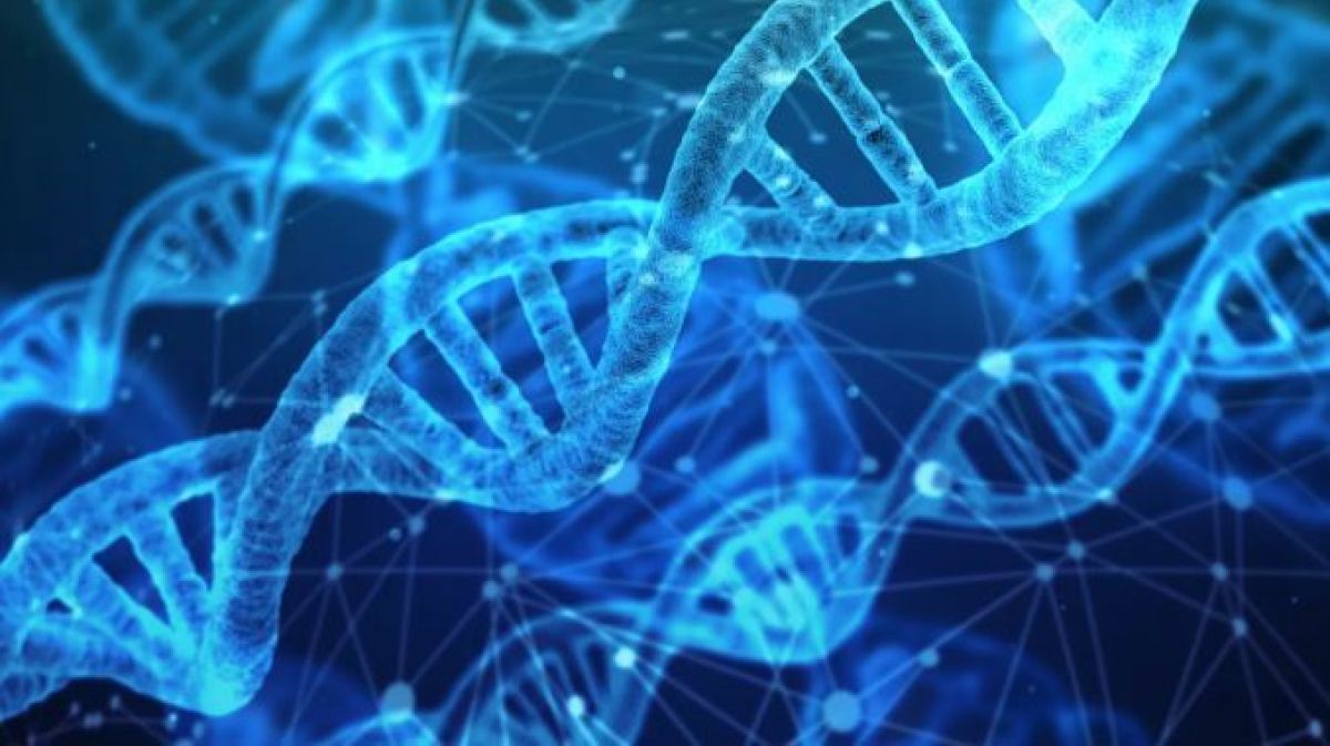 DNA: stock image